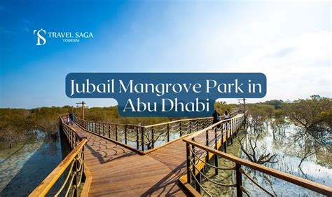 mangrove national park abu dhabi entry fee|Jubail Mangrove Park in Abu Dhabi: plan your epic .